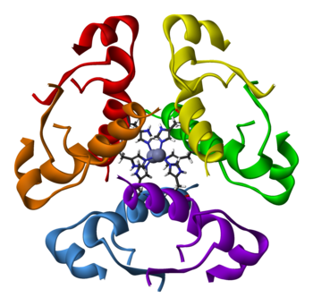 Human-insulin-hexamer-3D-ribbons
