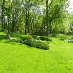 Full-service landscaping company Downriver Michigan