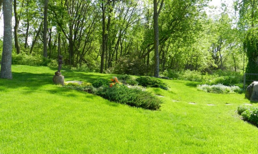 Full-service landscaping company Downriver Michigan